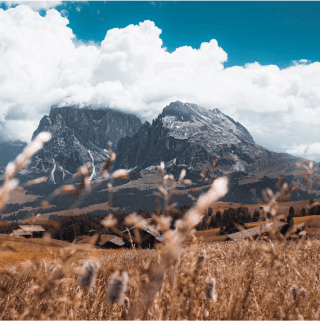 cb0d42e7-tobias-schmucker-lomljgzs-a0-unsplash-1.png